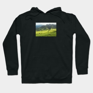 Japanese Countryside Hoodie